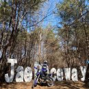 서울파크장 이미지