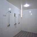 도토리캠프 이미지