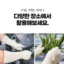 모닝글러브 이미지