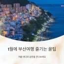 감성분식 청춘식당 소담점 | 1월에 부산여행 즐기는 꿀팁
