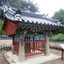 양대박 부자충의문 Daum카페