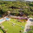 솔푸른향기애견 이미지