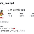 슈가복싱 프리미엄 이미지