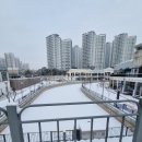 금빛초등길 이미지