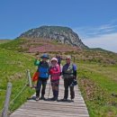 버스정류소_비석거리 이미지