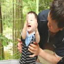 사선대황토펜션 이미지