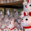 김해글로벗도서관 이미지