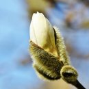 인성토이 이미지