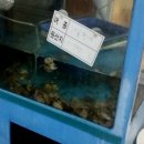 지명전골 이미지