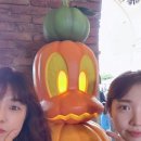 라나쇼블로그 / 도쿄 자유여행 day3 / 도쿄 디즈니씨 할로윈시즌