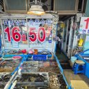 해돋이 회센타 | 동명항회센터 초장집 활복비 매운탕 셋팅비 가격부터 맛까지