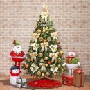 뉴골드(97) 이미지