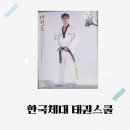 한국태권도스쿨 이미지