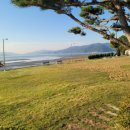 바오마루 이미지