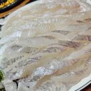 영월 고기조개 이미지