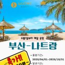 부산-나트랑 신규 취항 EVENT! 이미지