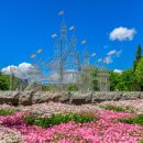 새들가든 이미지