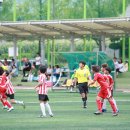 충주중앙초 이미지