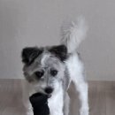 개스트하우스 말2 이미지