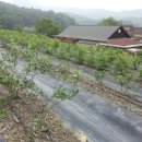 샘골농원 이미지