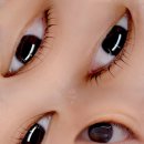 다교뷰티 이미지