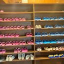 멍이와쿤이 이미지