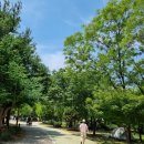 평화의공원 모래놀이터 후기｜서울 아이와 가볼 만한 곳 강추추!!