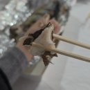 화천청소년수련관 문화강좌(발레1,2) | [2026 화천 산천어 축제] 평일 방문 후기: 예약 방법, 준비물, 명당 팁까지 완벽 정리!