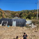 (주)해솔사료 | 캠핑장 숲속의 쉼터(키즈) With 싱어게인 46호가수