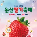 홀리다