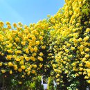 목향별관 이미지