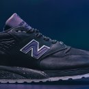 뉴오로라 이미지