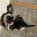 광교역 1번출구 이미지