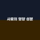 도그홀릭 이미지