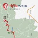 YOLO갈맷길 8코스 이미지