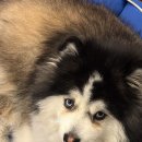 블루베리짐 이미지