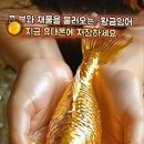 장가네 Daum카페