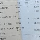 시흥햇살나눔발전소 | 시흥 애견동반 식당, 타코 맛집 토키타코 내돈내산 후기
