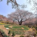 숲속쉼터 이미지