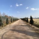 한강시민공원(가족캠핑장 초입) 이미지