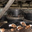 도걸농장 이미지