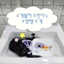 덕수린 | 수영초보 4개월차 수린이 수영템 후기｜실제 사용해보고 정착한 수영용품 추천