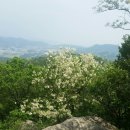 서봉산산림욕장 이미지