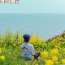 4/03~04(토/일) 대한민국 대표 걷기 길에 아름다운 여수 '하화도 꽃섬길' 트레킹 이미지