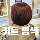 살롱드로웰미 안산중앙점 | 안산 중앙동 염색 커트 잘하는 곳 살롱드로웰미 안산중앙점 둥근형 커트 후기