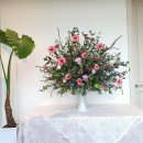 밀드플레 이미지