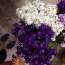 양재시민의 숲 4번출구 이미지