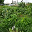 주정농장 이미지