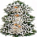 구.군남초 이미지