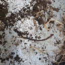 혜은농장 이미지